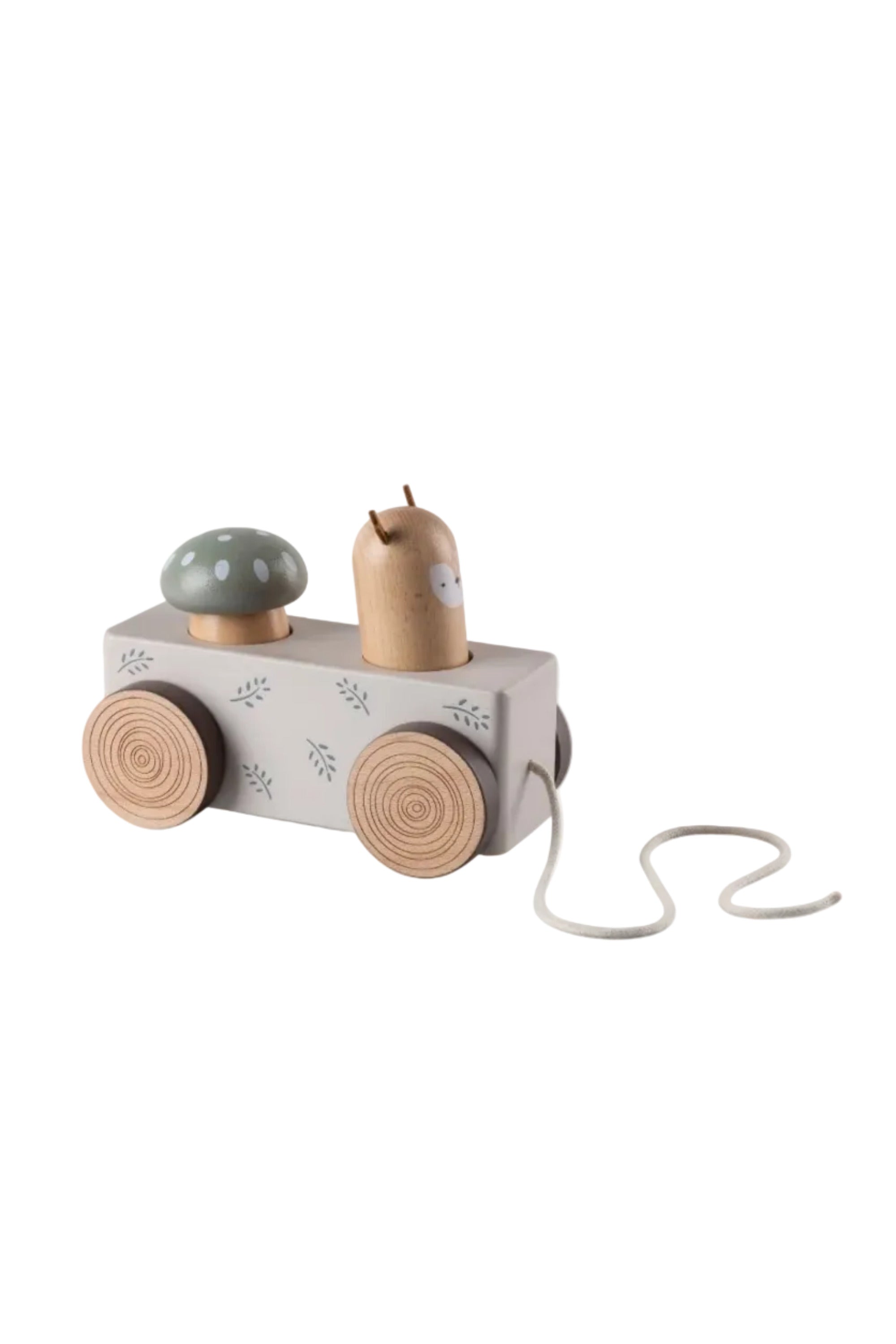 Pop-up Pull-along Toy
