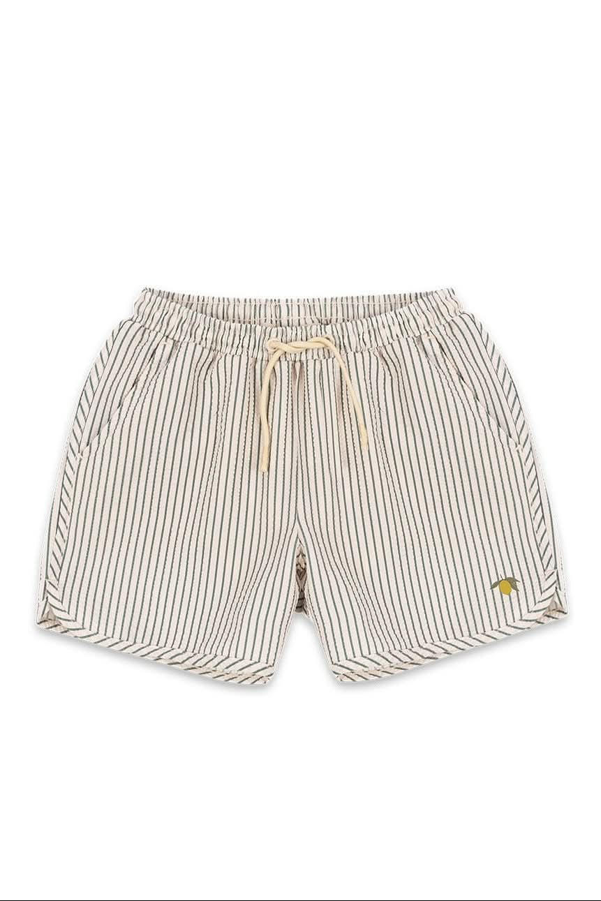 Asnou Swim Shorts - Tea Stripe