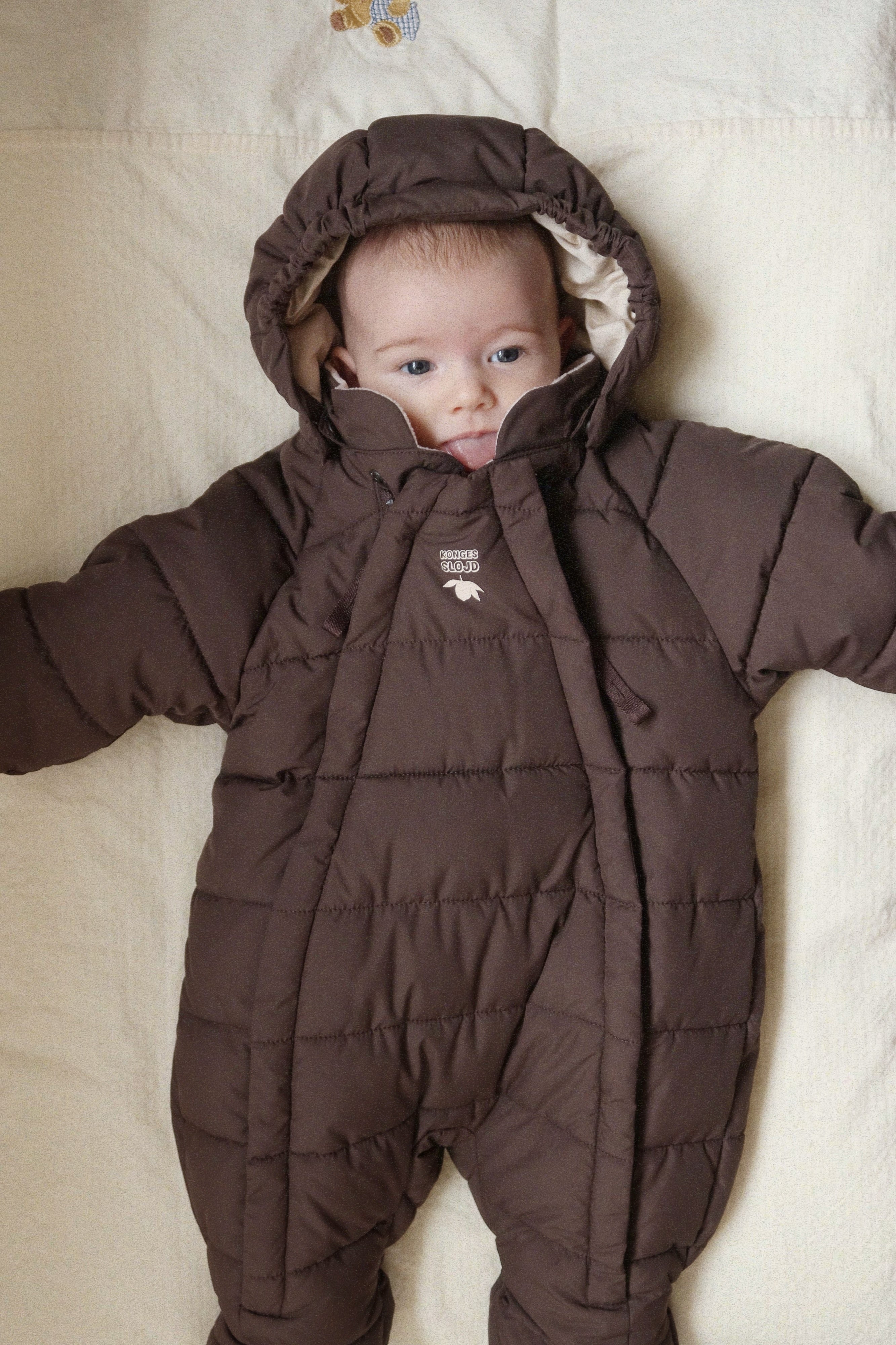 Alpi Baby Suit - Chocolate Brown