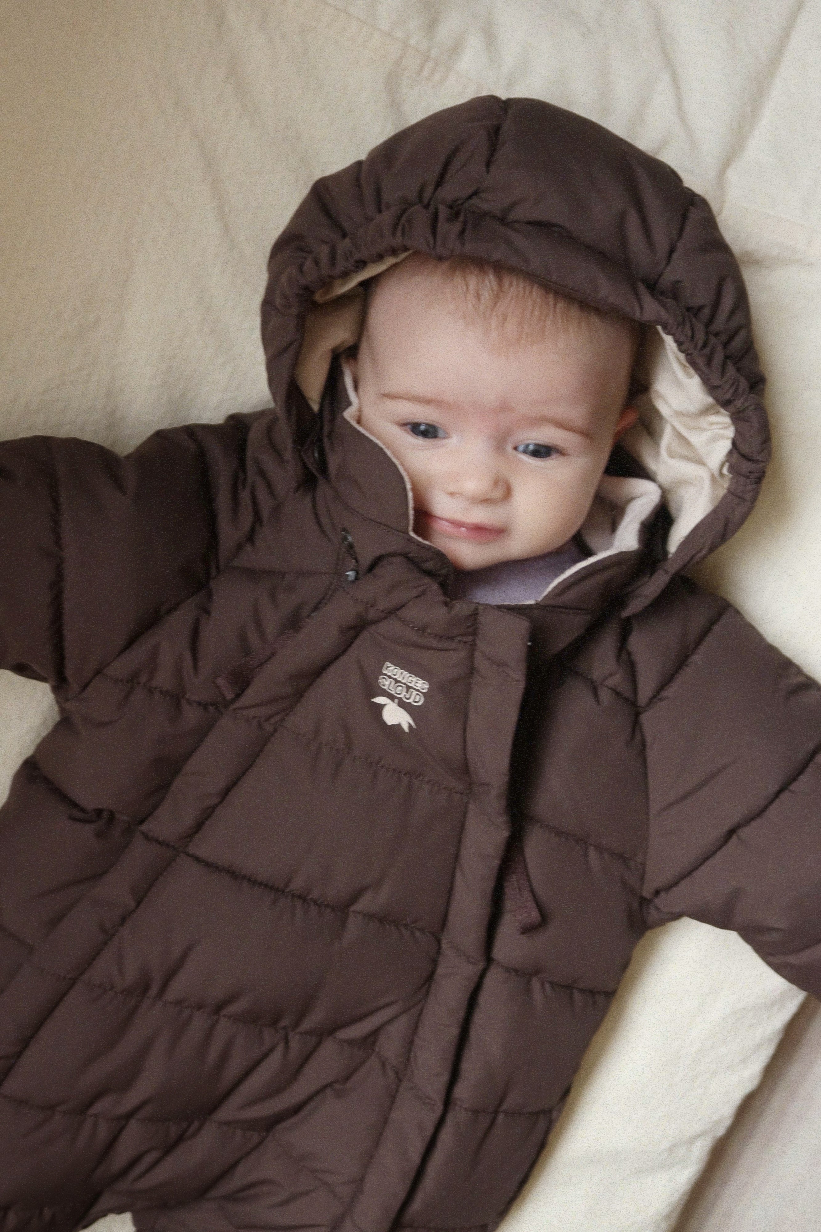 Alpi Baby Suit - Chocolate Brown