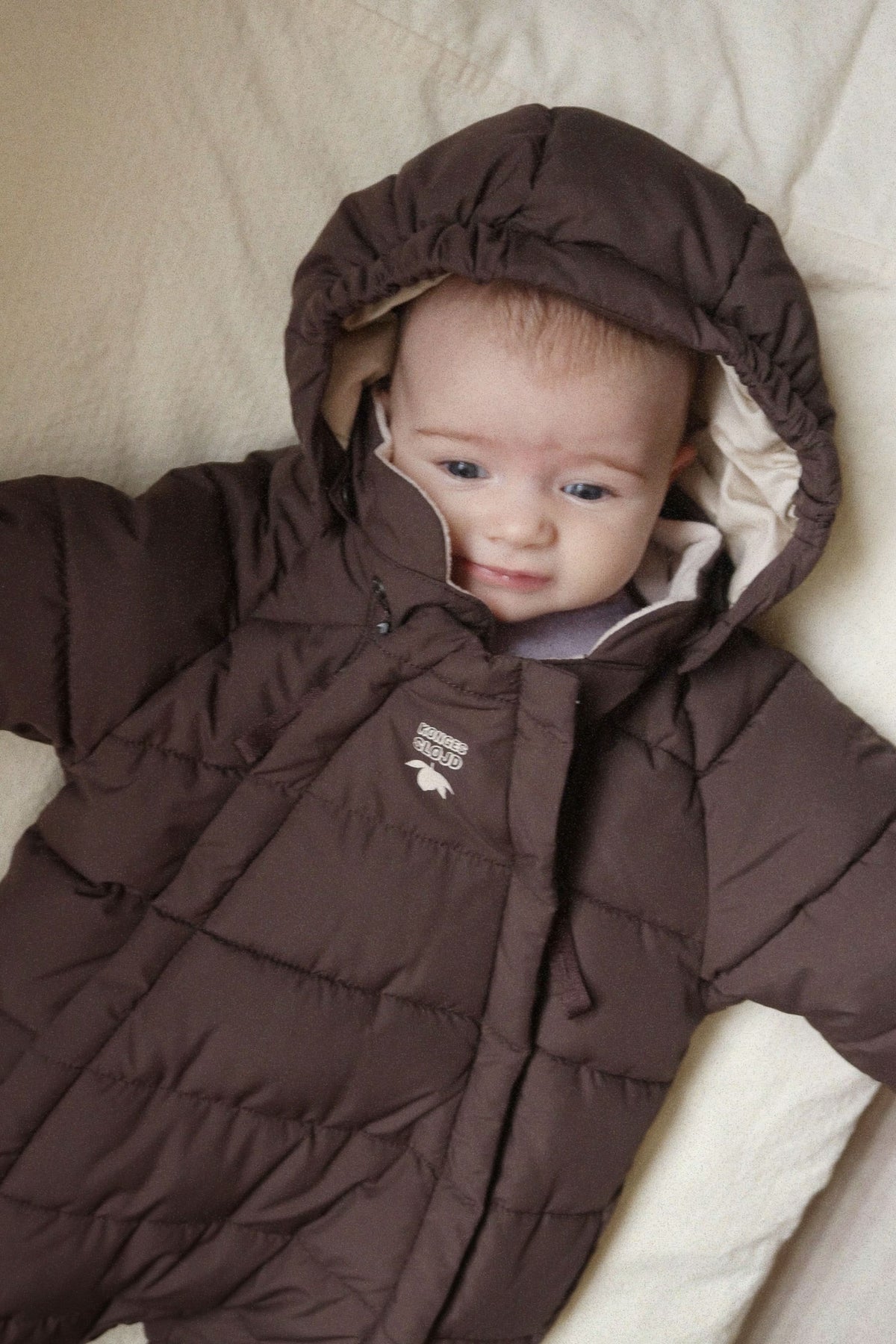 Alpi Baby Suit - Chocolate Brown