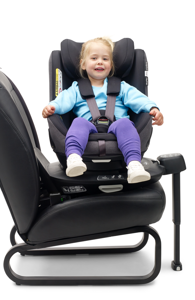 Owl by Nuna car seat - Mineral Washed Black