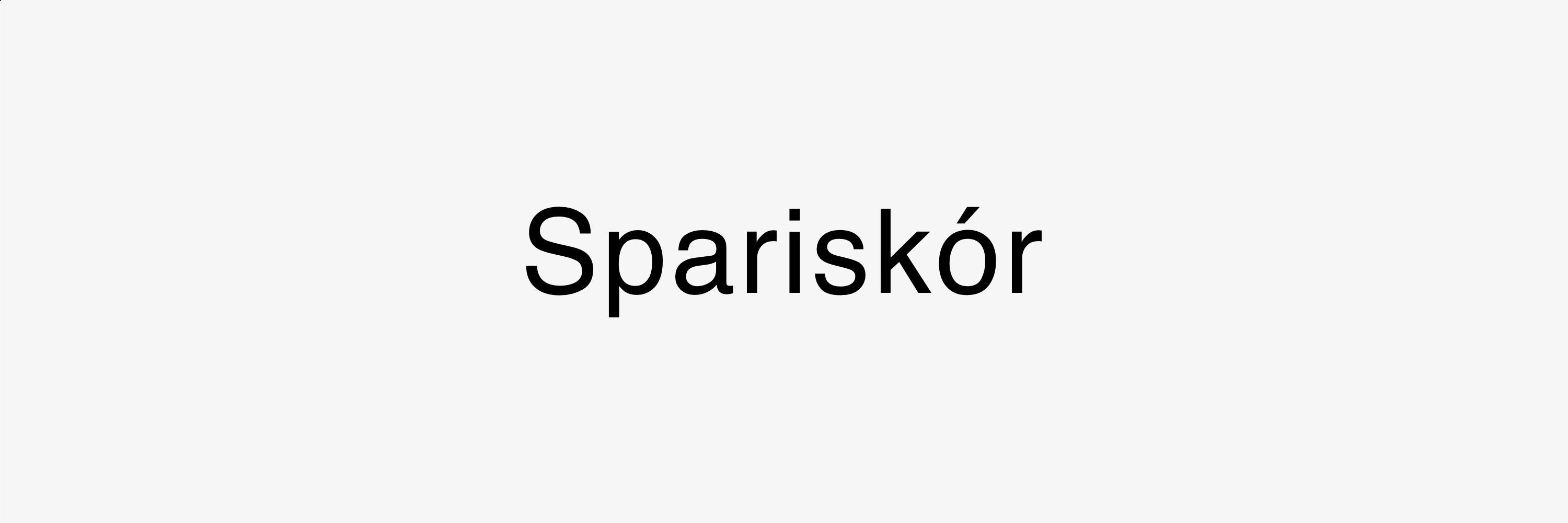 Leðurskór / Spariskór