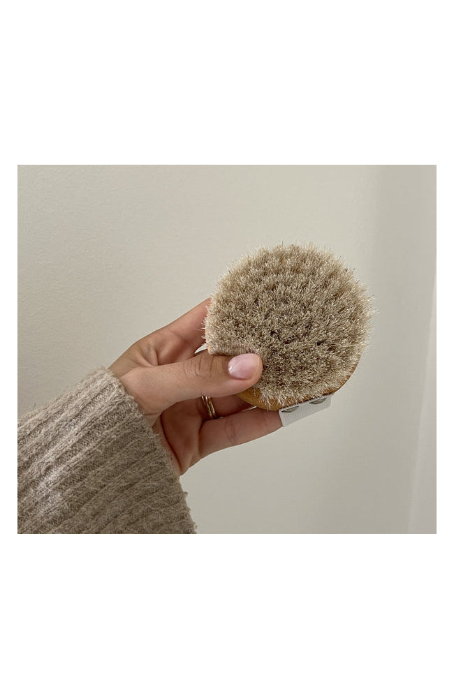 Renew You Dry Brush