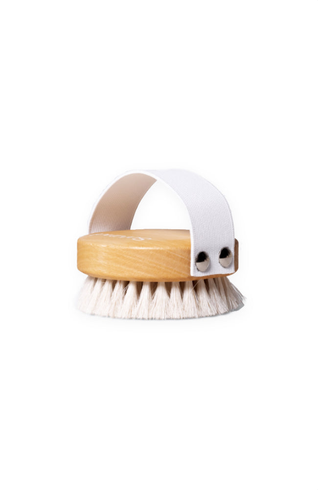 Renew You Dry Brush
