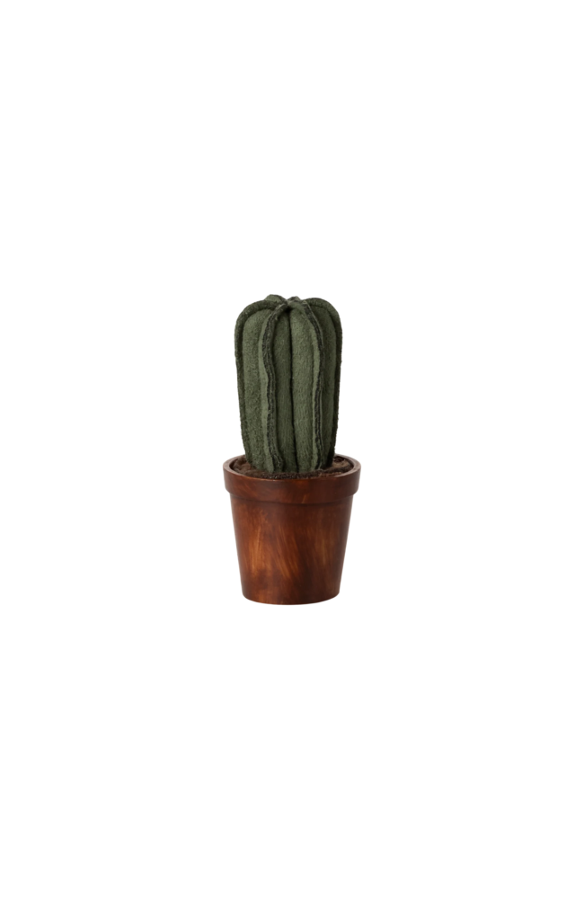 Flower Pot With Cactus, Miniature