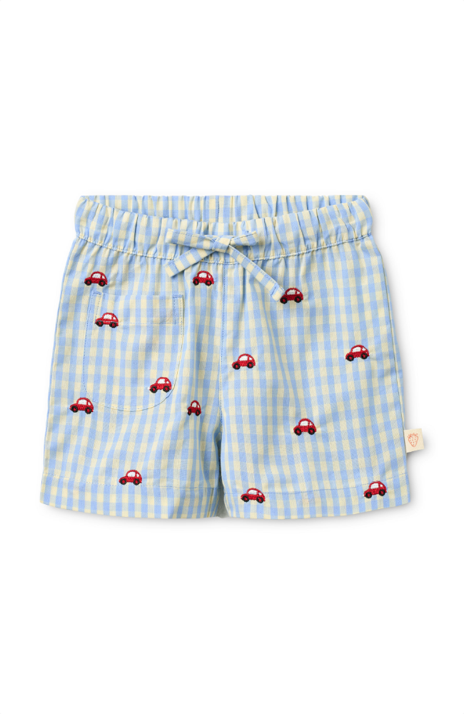 Albert Shorts - Blue Gingham