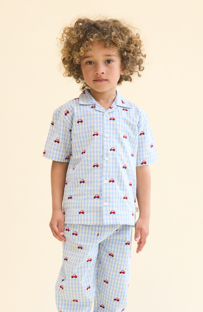 Albert Shirt - Blue Gingham