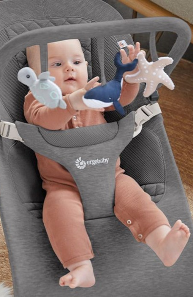 Evolve Bouncer Toy Bar - Charcoal Grey