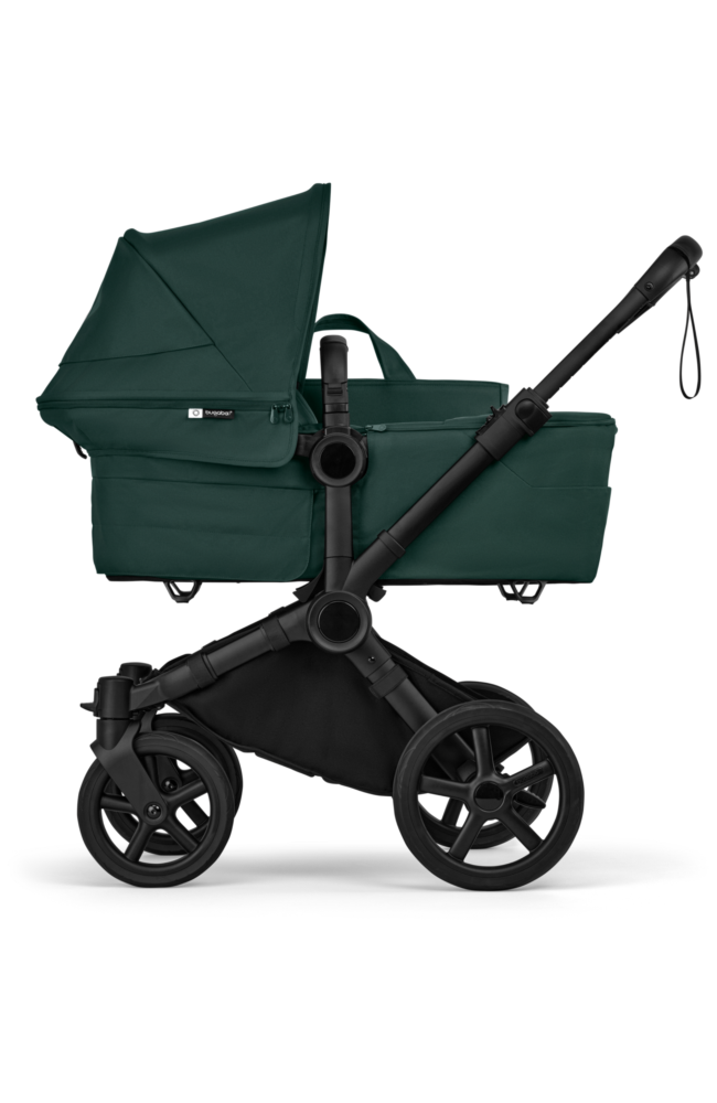 Donkey⁶ / Twin - Fern Green