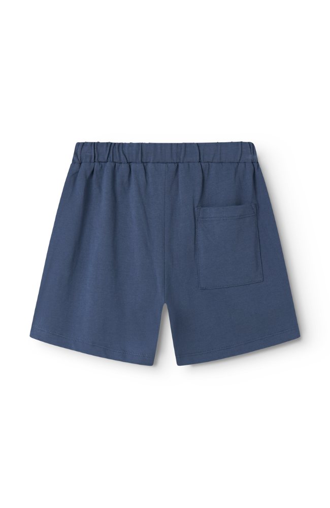 Paulo Shorts - Vintage Blue