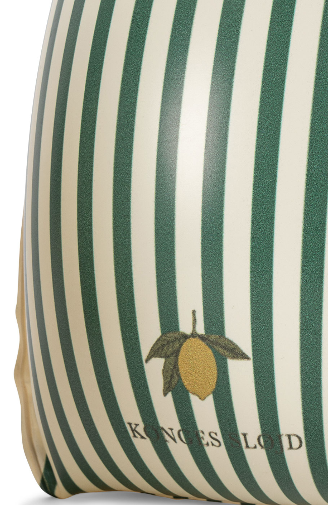 Water Wings - Green Stripe