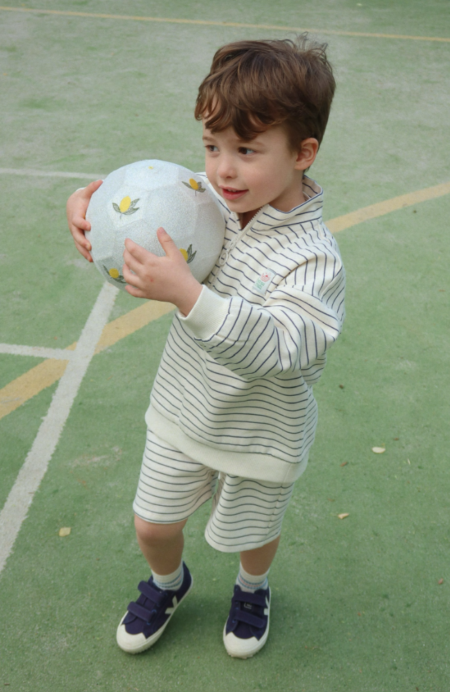 Lou Half Zip Sweat Shirt - Flintstone Stripe