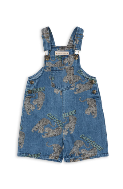 Luc Overaller - Cattitude 