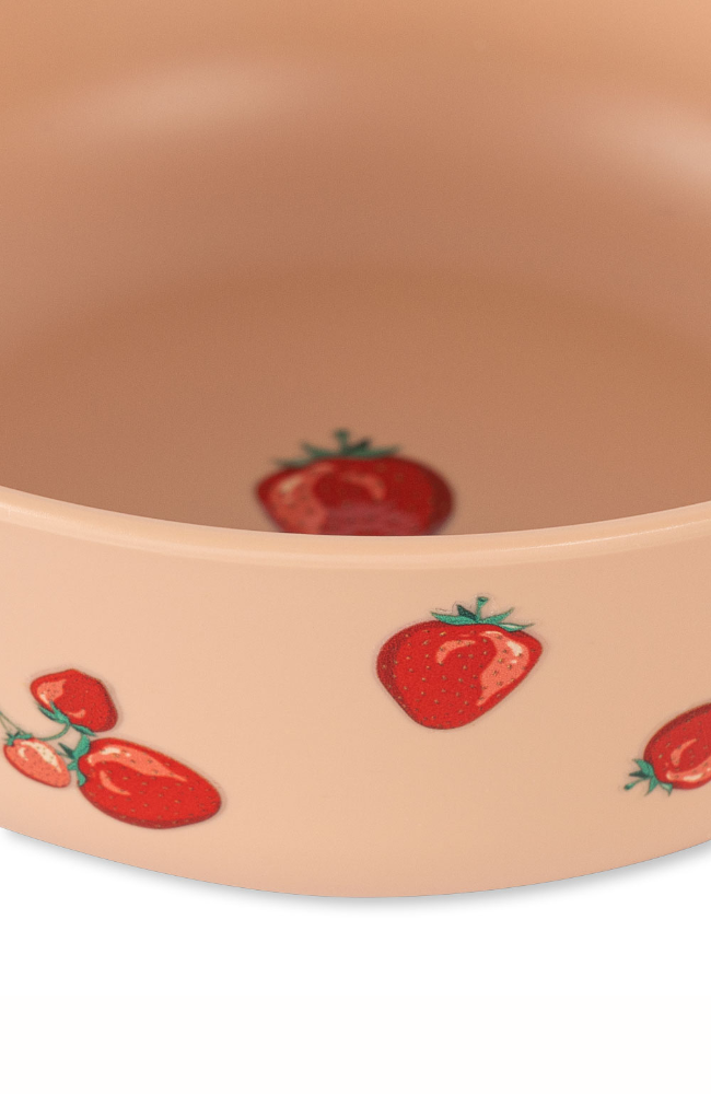 Dinner Set - Fragola