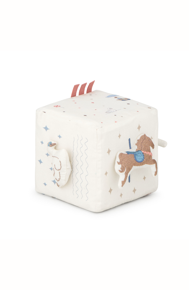 Activity Cube - Carousel