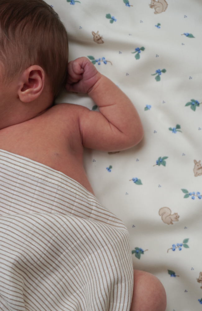 Bedding - Blueberries