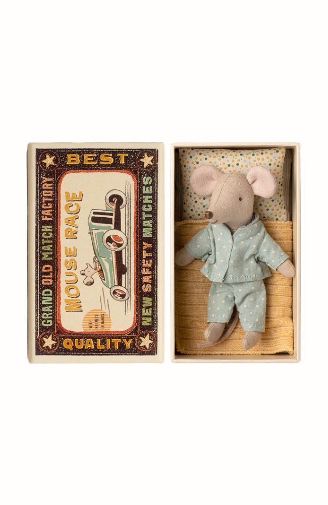 Little brother mouse in matchbox