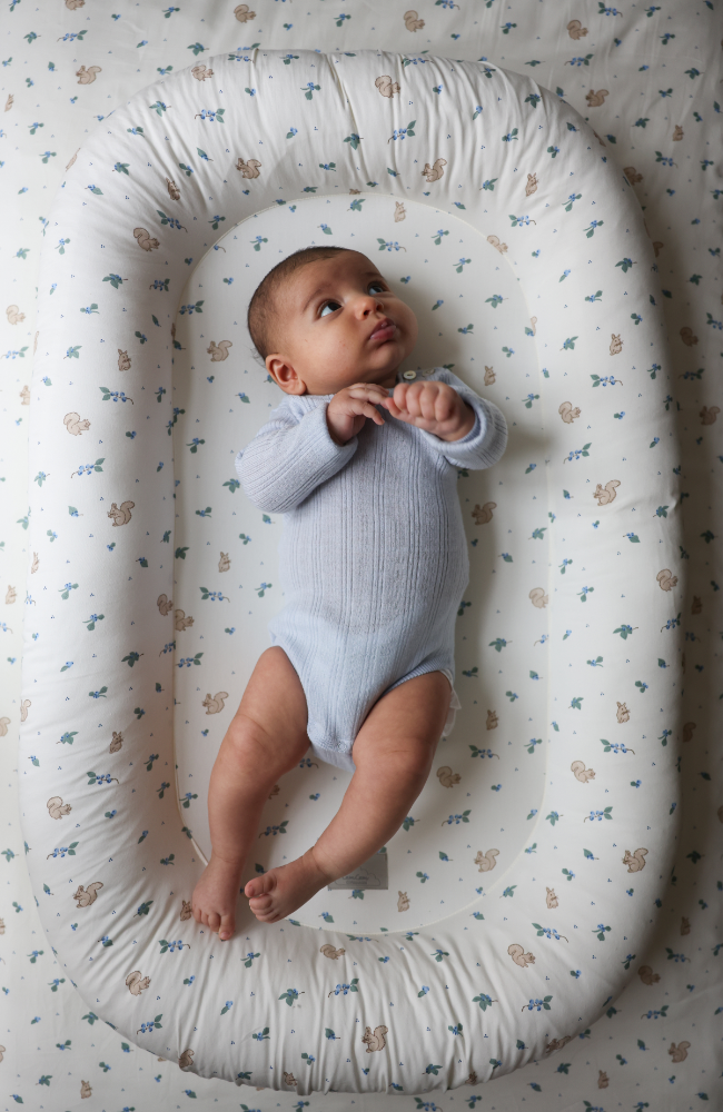 Baby Nest - Blueberries