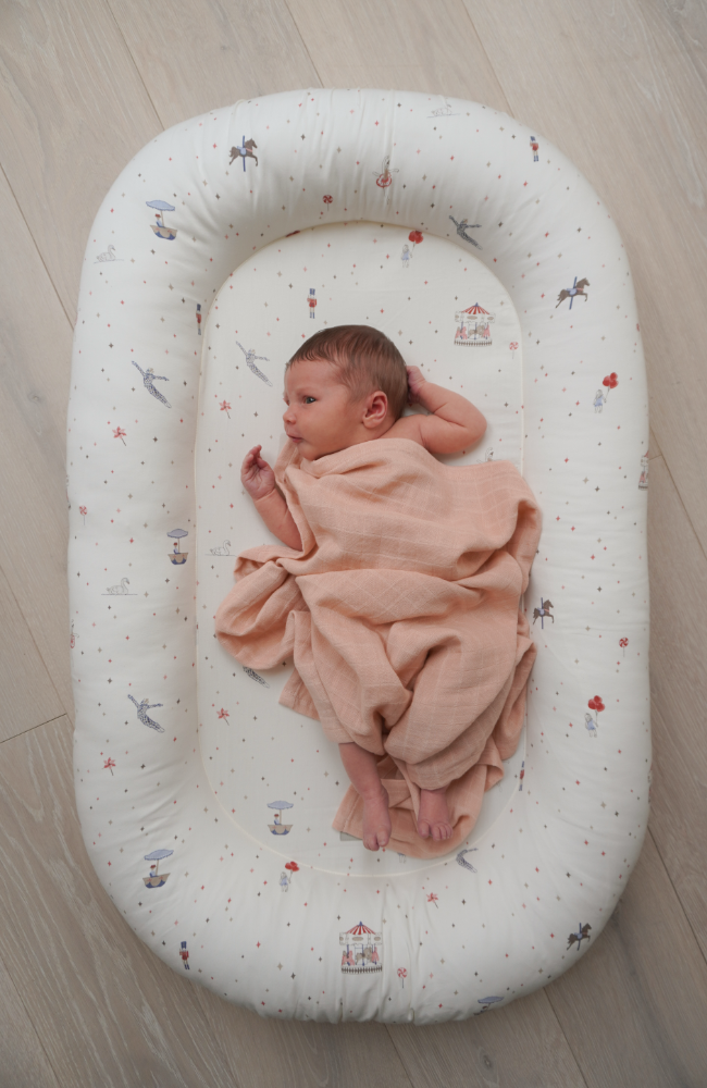 Baby Nest - Carousel