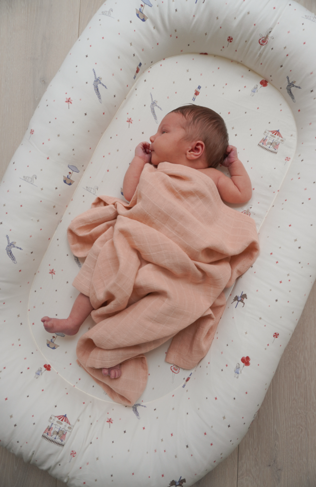 Baby Nest - Carousel