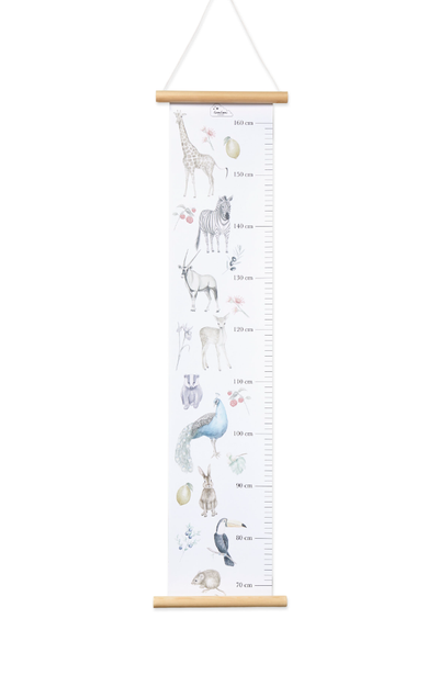 Height Chart - Mixed Colors