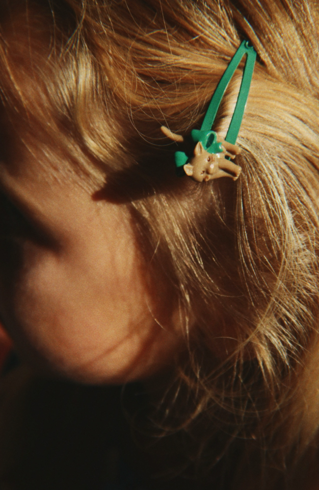 4 Pack Cats And Dogs Hair Clip - Multi