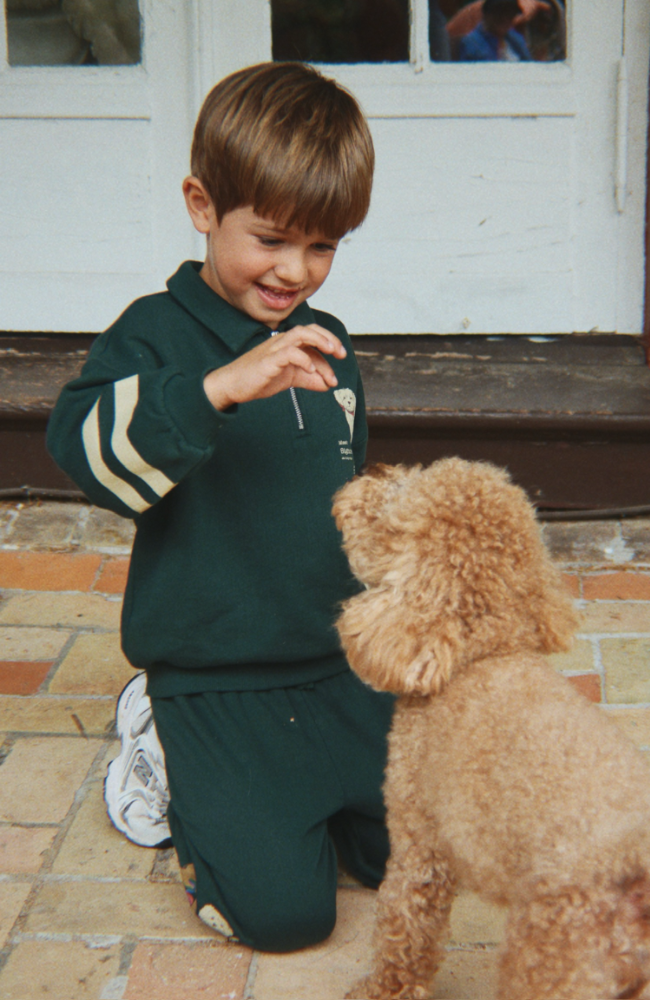 Doggy Half Zip Polo - Pine Grove