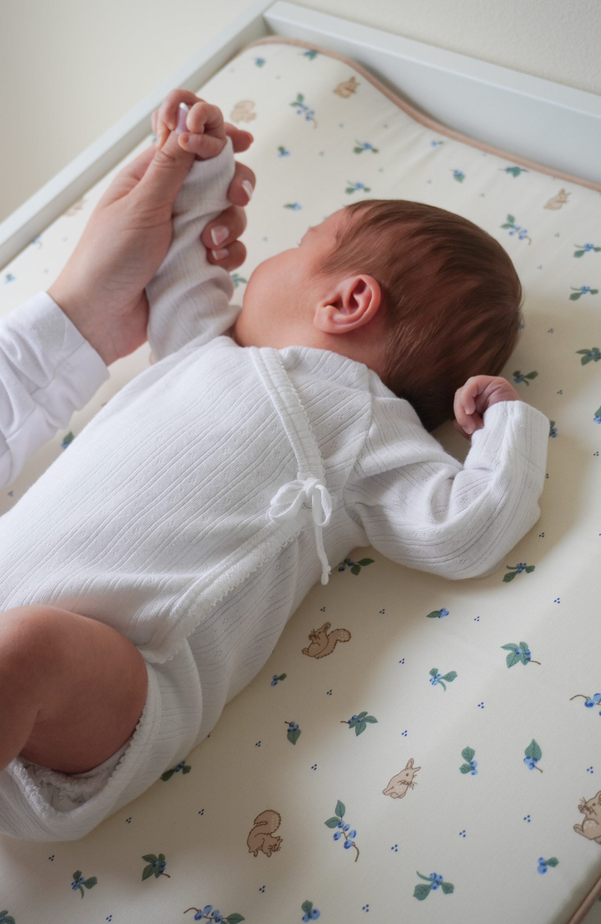 Changing Cushion - Blueberries