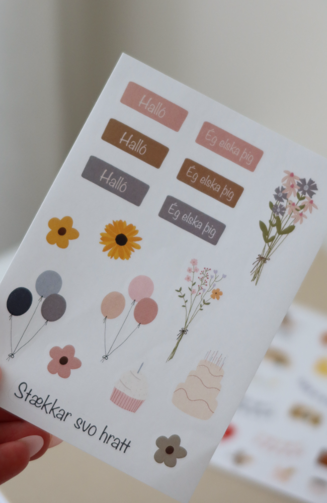 Fyrsta Árið - Stickers