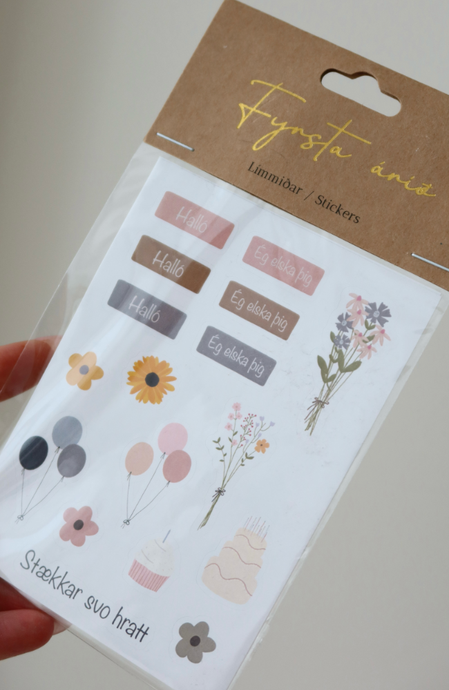 Fyrsta Árið - Stickers