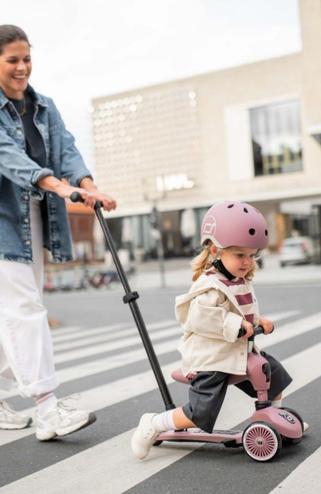 Safety Helmet - Wildberry