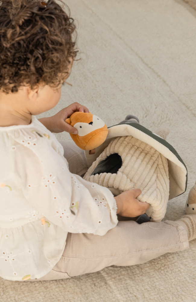 Activity Toy - Hide And Seek