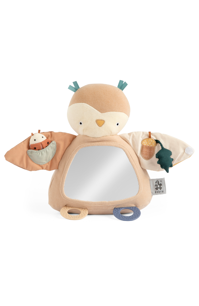 Activity Toy - Blinky The Owl