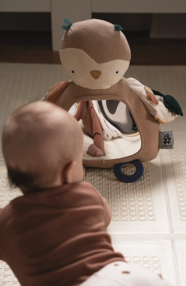 Activity Toy - Blinky The Owl