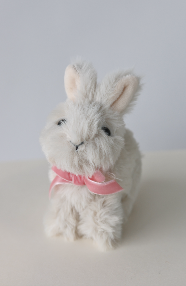 Baby Animals - Bunny White