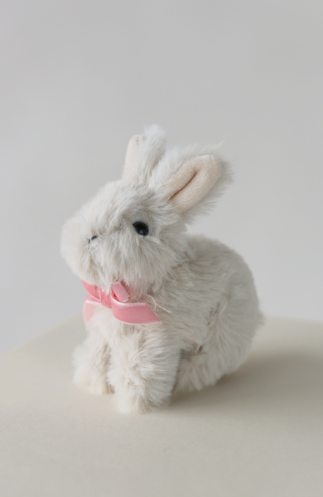 Baby Animals - Bunny White