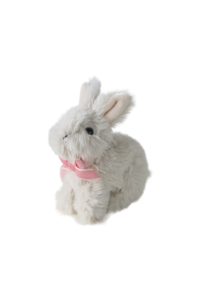 Baby Animals - Bunny White