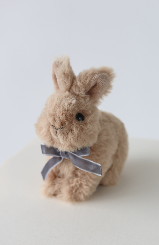 Baby Animals - Bunny Brown