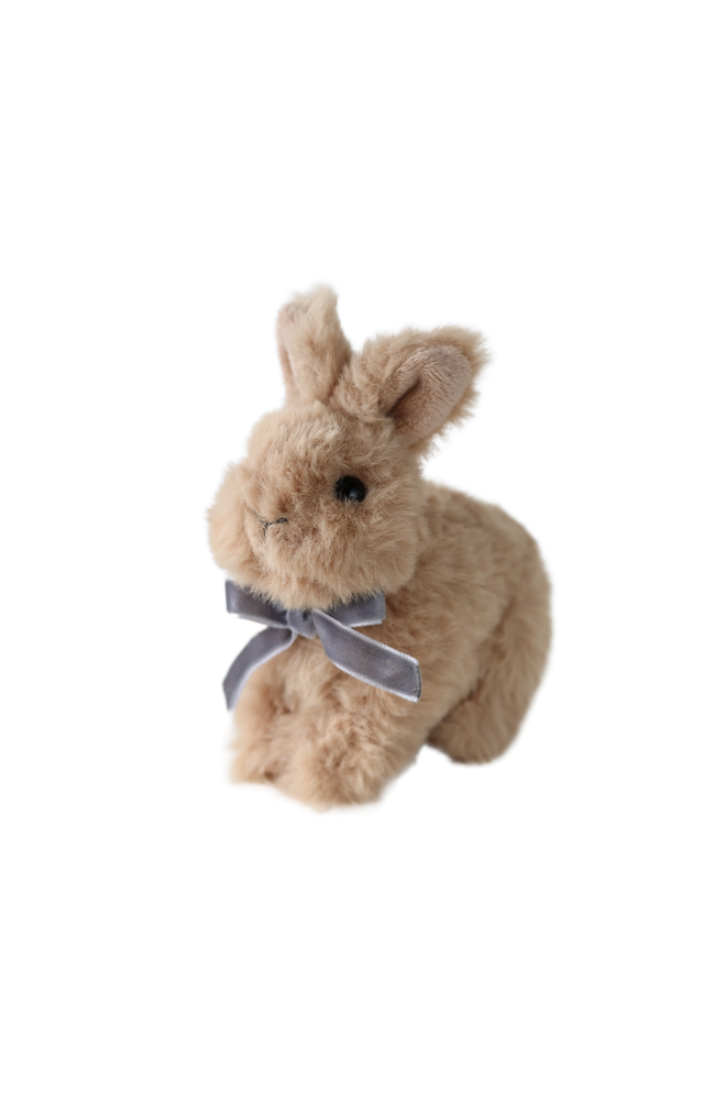 Baby Animals - Bunny Brown