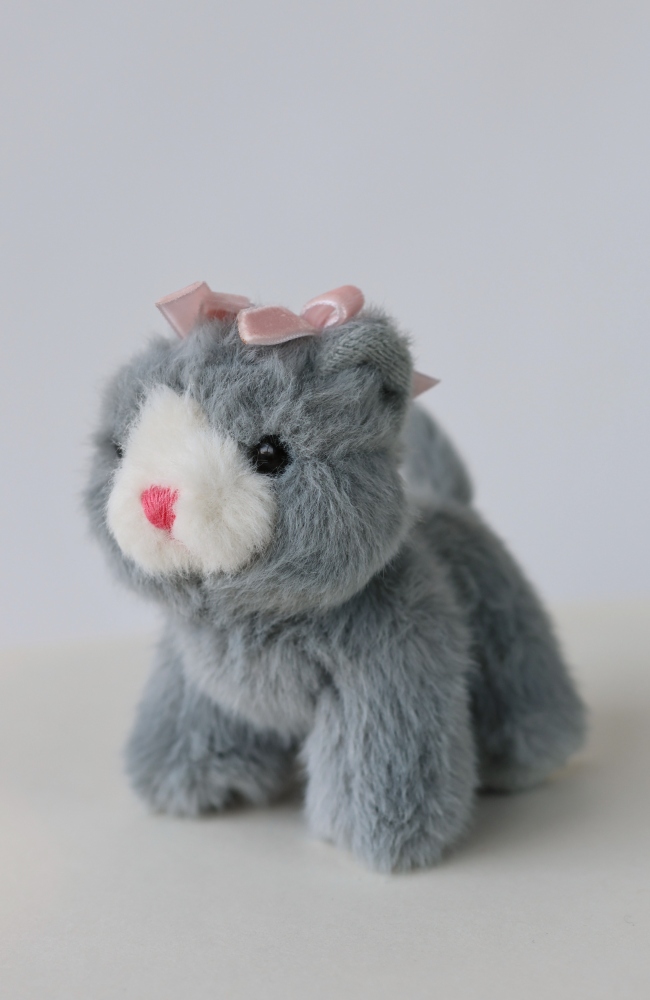 Baby Animals - Cat Grey