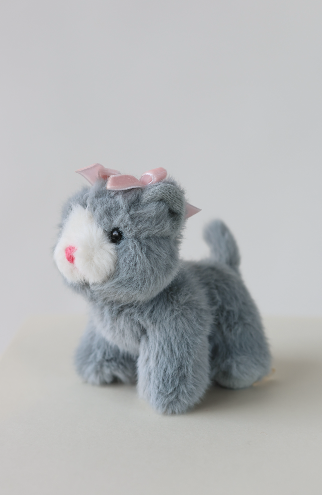 Baby Animals - Cat Grey