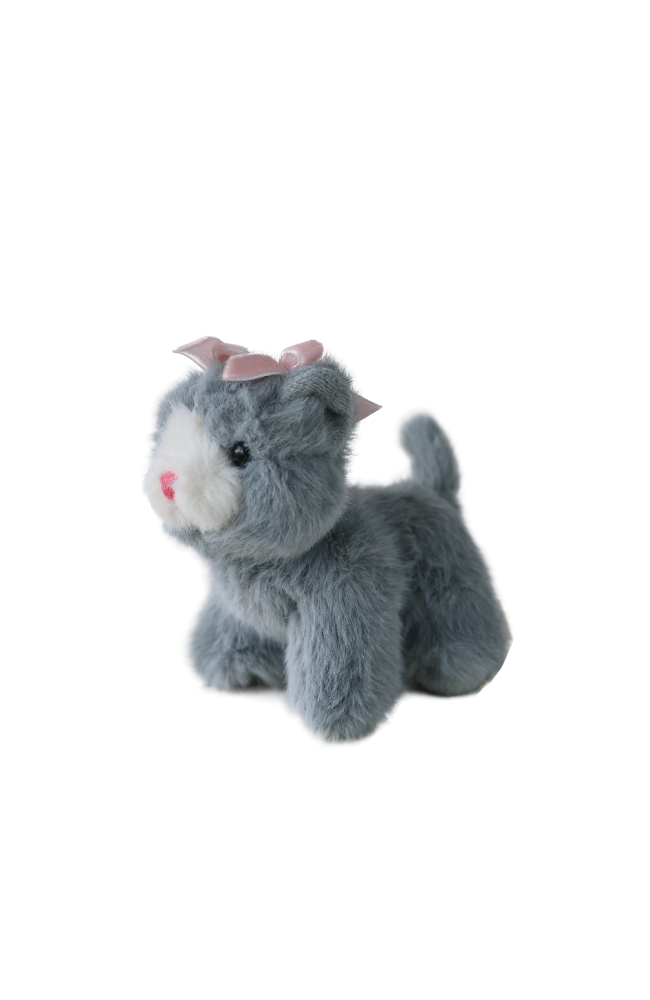 Baby Animals - Cat Grey
