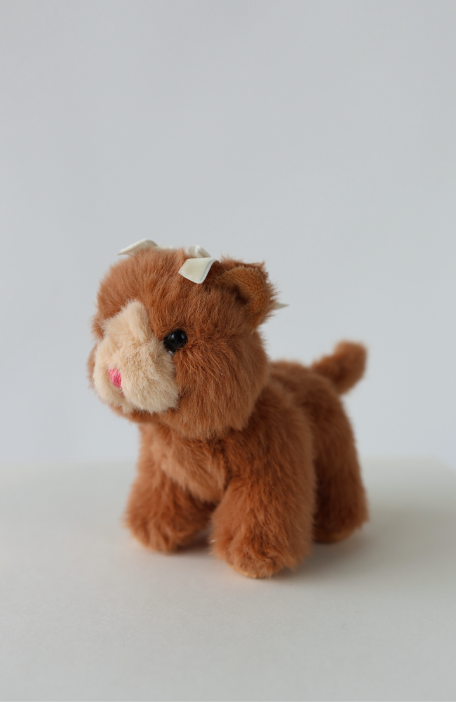 Baby Animals - Cat Brown