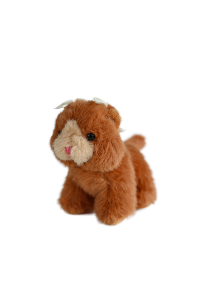 Baby Animals - Cat Brown