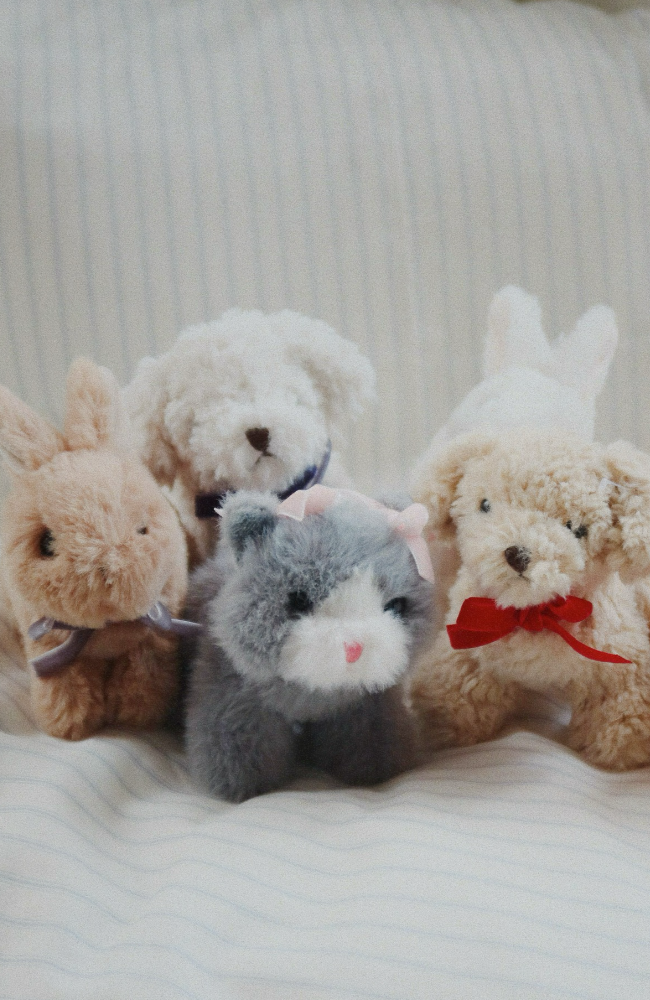 Baby Animals - Cat Grey