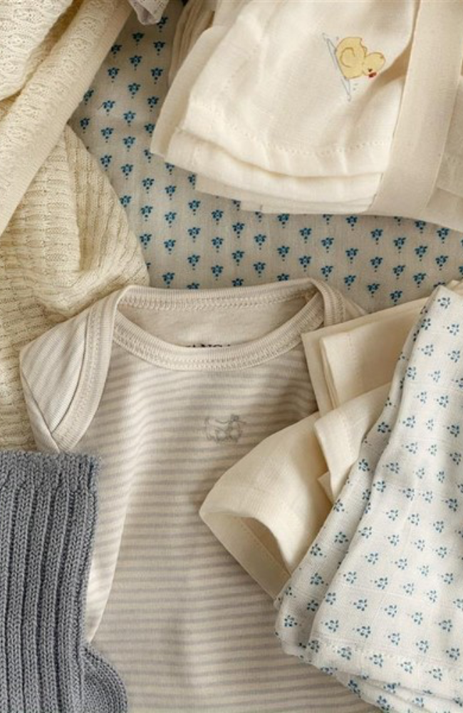 Fio Stripe LS Body - Tea Stripe Gray Dawn