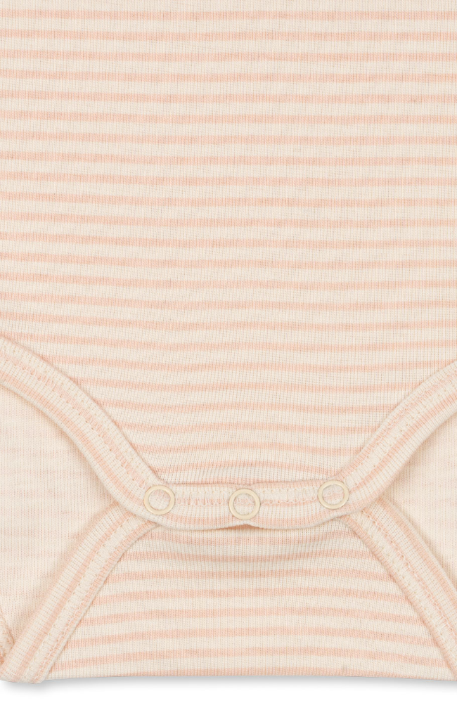 Fio Stripe 3pk LS Body - Blush Mix