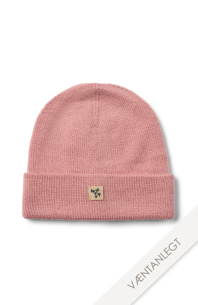 Beanie Omalas - Rose