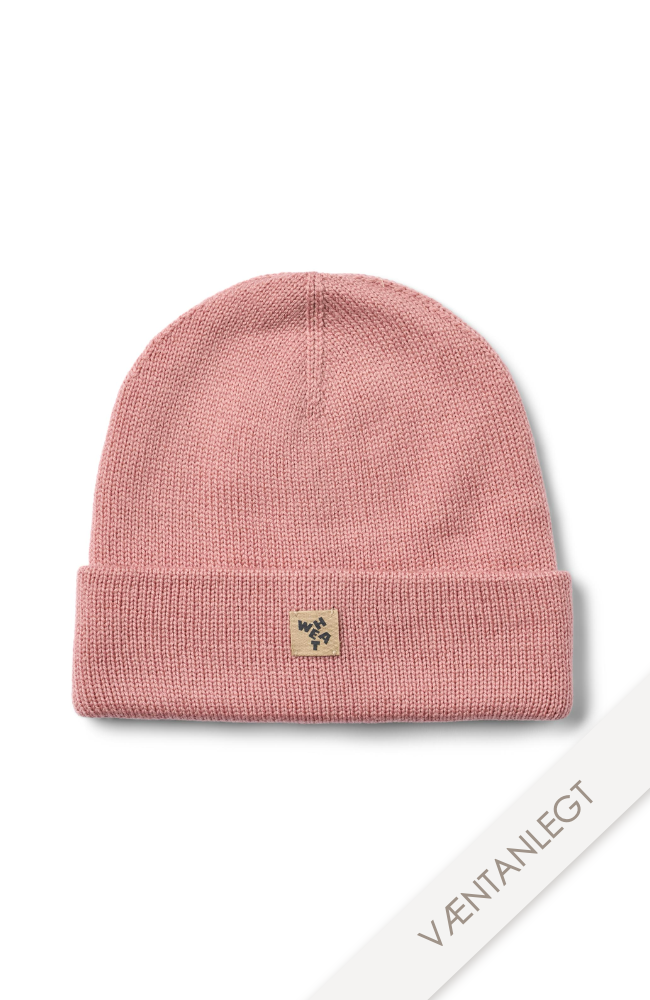 Beanie Omalas - Rose